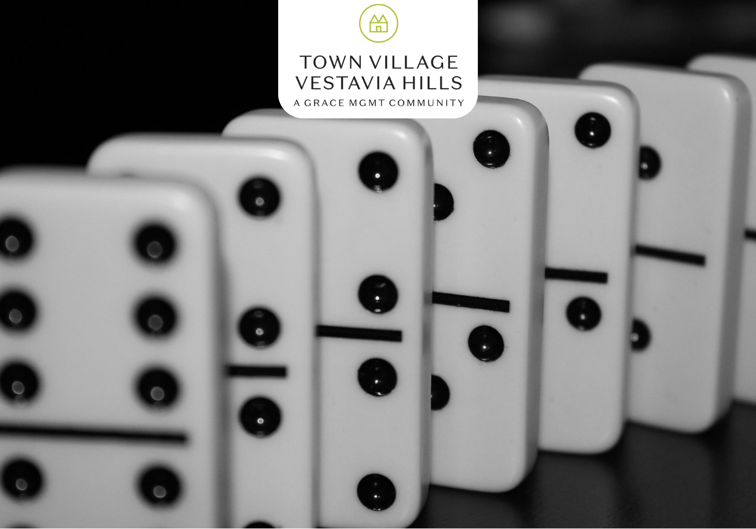 TVVH - Dominos - Town Village Vestavia Hills Dominoes